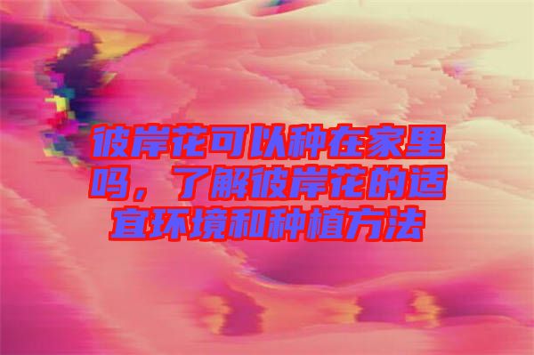 彼岸花可以種在家里嗎，了解彼岸花的適宜環(huán)境和種植方法