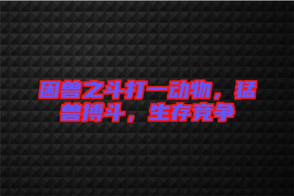 困獸之斗打一動物，猛獸搏斗，生存競爭