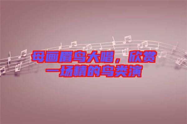 母畫(huà)眉鳥(niǎo)大唱，欣賞一場(chǎng)精的鳥(niǎo)類演