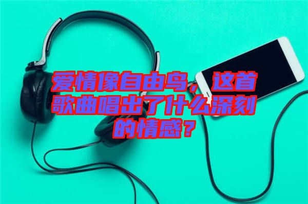 愛情像自由鳥，這首歌曲唱出了什么深刻的情感？