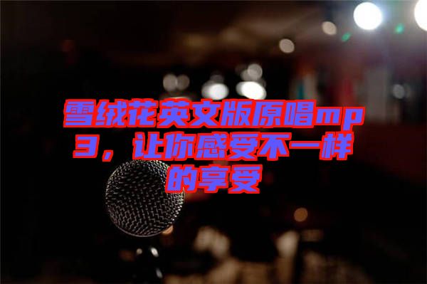 雪絨花英文版原唱mp3，讓你感受不一樣的享受