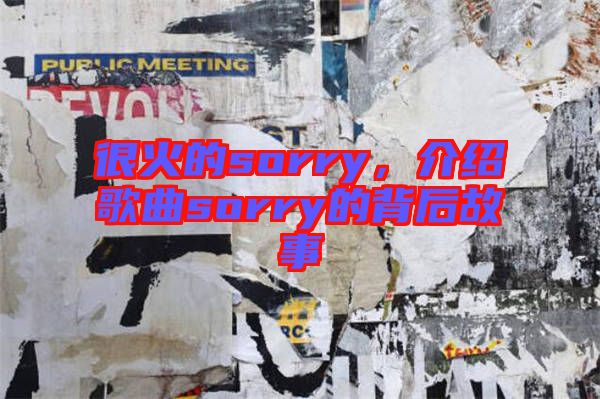 很火的sorry，介紹歌曲sorry的背后故事