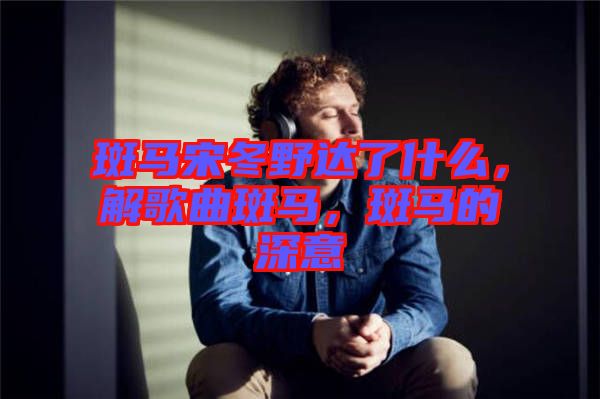 斑馬宋冬野達了什么，解歌曲斑馬，斑馬的深意