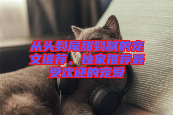 從頭到尾甜到膩的寵文推薦，獨家推薦最受歡迎的寵愛