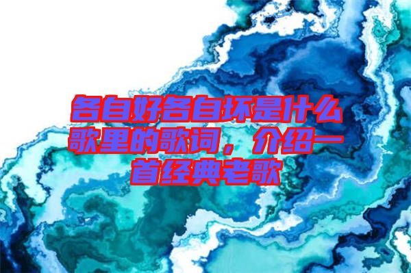 各自好各自壞是什么歌里的歌詞，介紹一首經(jīng)典老歌