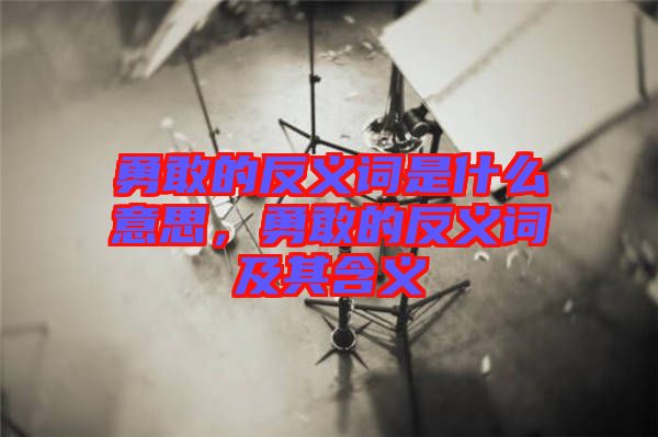 勇敢的反義詞是什么意思，勇敢的反義詞及其含義