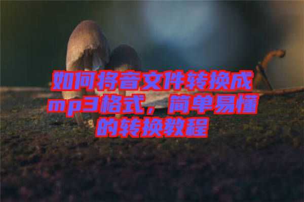 如何將音文件轉(zhuǎn)換成mp3格式，簡單易懂的轉(zhuǎn)換教程