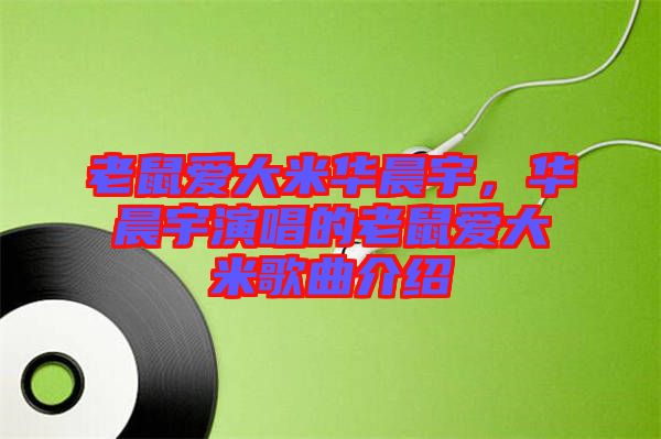 老鼠愛(ài)大米華晨宇，華晨宇演唱的老鼠愛(ài)大米歌曲介紹