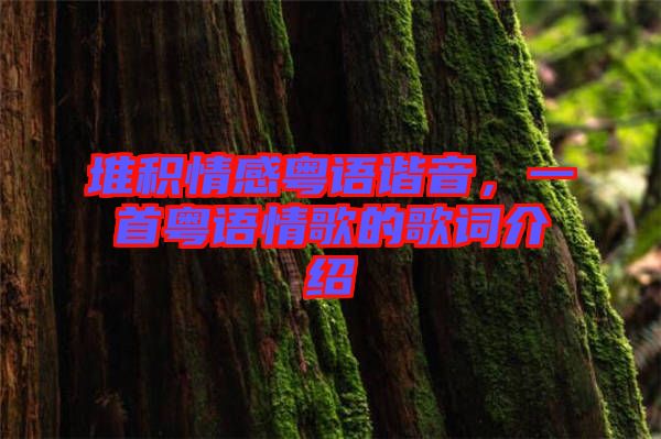 堆積情感粵語諧音，一首粵語情歌的歌詞介紹