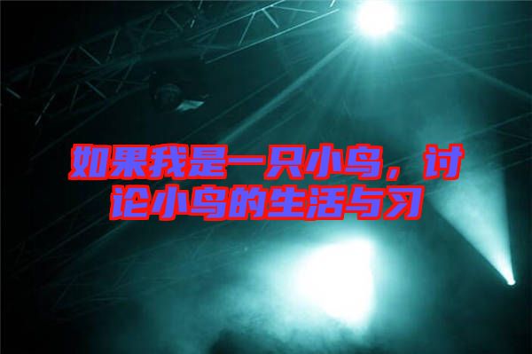 如果我是一只小鳥，討論小鳥的生活與習(xí)