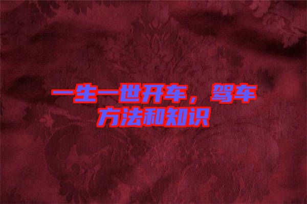 一生一世開車，駕車方法和知識