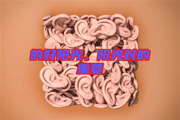 的好陽(yáng)光，陽(yáng)光對(duì)的重要