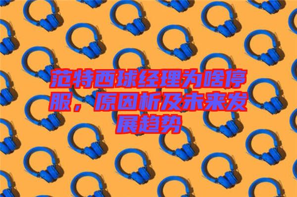 范特西球經(jīng)理為啥停服，原因析及未來發(fā)展趨勢(shì)