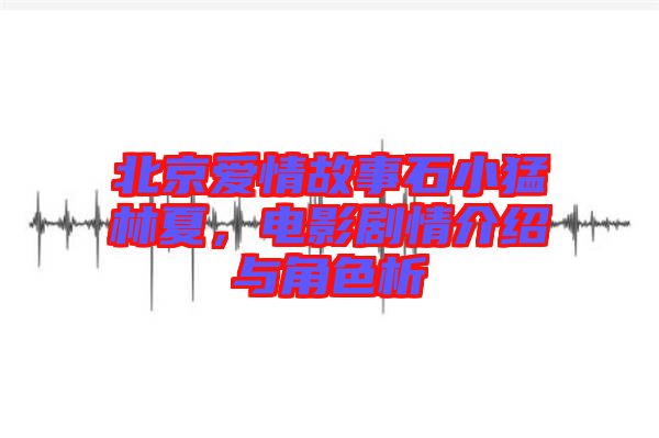 北京愛(ài)情故事石小猛林夏，電影劇情介紹與角色析