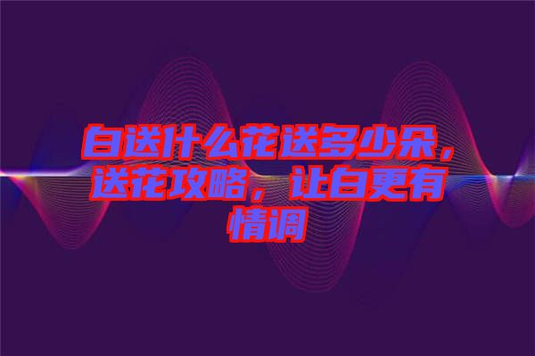 白送什么花送多少朵，送花攻略，讓白更有情調(diào)