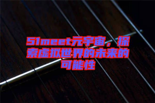 51meet元宇宙，探索虛擬世界的未來(lái)的可能性