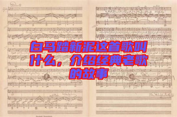 白馬踏新泥這首歌叫什么，介紹經(jīng)典老歌的故事