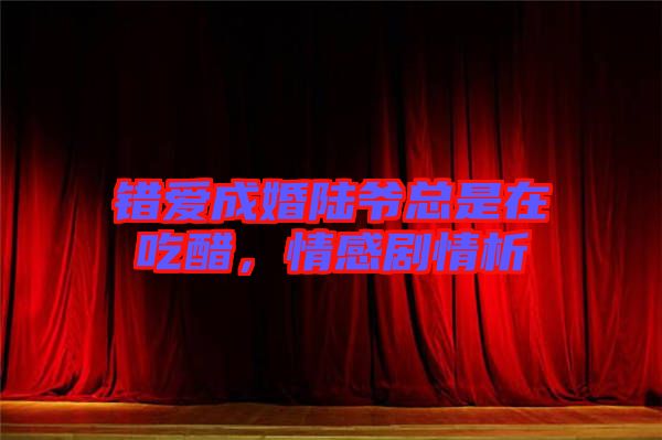 錯(cuò)愛成婚陸爺總是在吃醋，情感劇情析