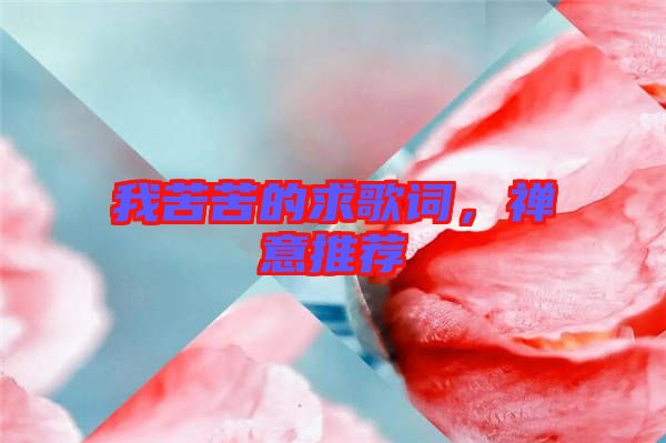 我苦苦的求歌詞，禪意推薦