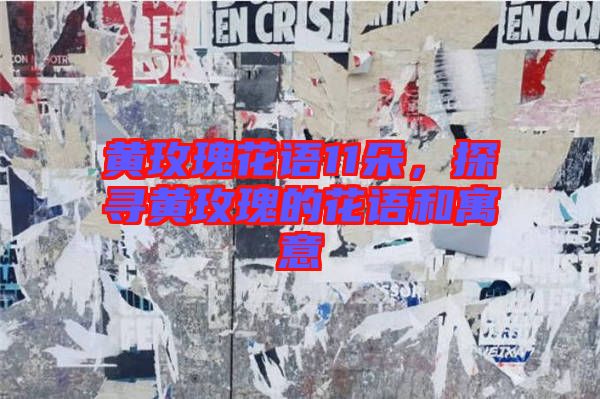 黃玫瑰花語(yǔ)11朵，探尋黃玫瑰的花語(yǔ)和寓意
