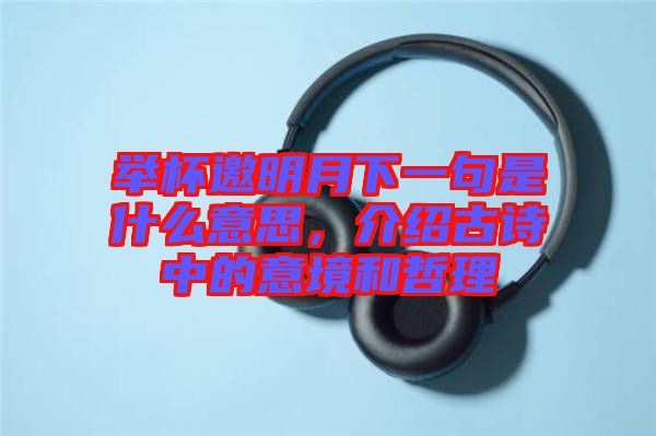 舉杯邀明月下一句是什么意思，介紹古詩中的意境和哲理