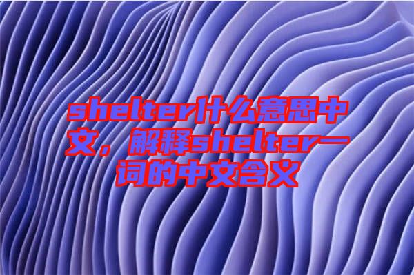 shelter什么意思中文，解釋shelter一詞的中文含義