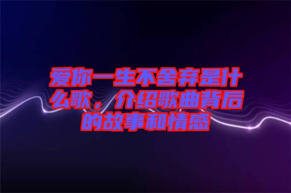 愛你一生不舍棄是什么歌，介紹歌曲背后的故事和情感