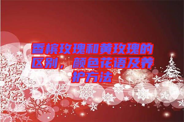 香檳玫瑰和黃玫瑰的區(qū)別，顏色花語及養(yǎng)護(hù)方法