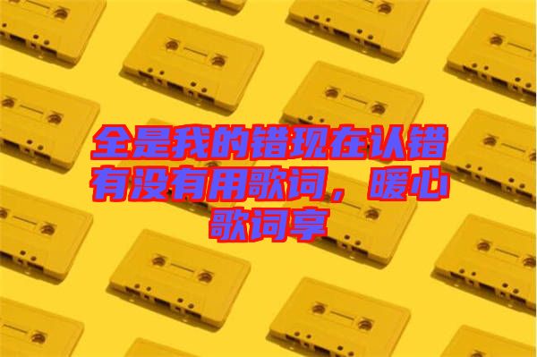 全是我的錯現(xiàn)在認錯有沒有用歌詞，暖心歌詞享