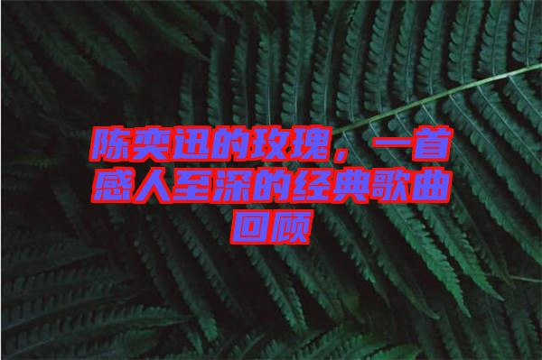 陳奕迅的玫瑰，一首感人至深的經(jīng)典歌曲回顧
