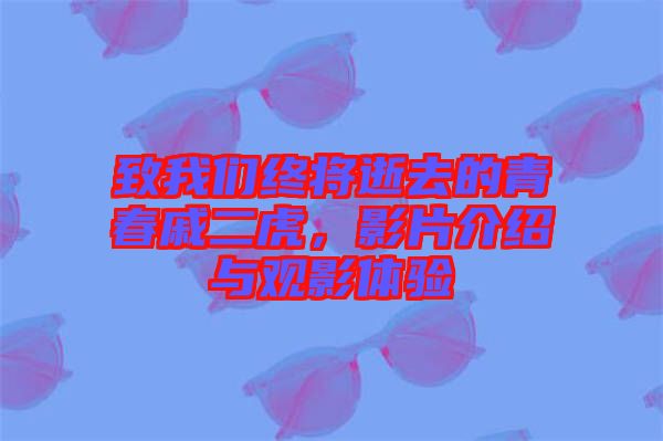 致我們終將逝去的青春戚二虎，影片介紹與觀影體驗