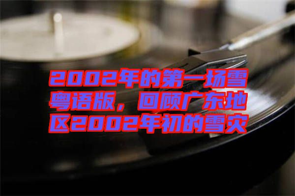 2002年的第一場雪粵語版，回顧廣東地區(qū)2002年初的雪災