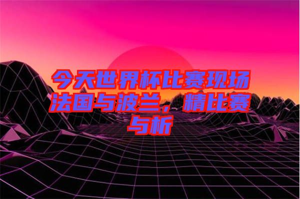 今天世界杯比賽現(xiàn)場法國與波蘭，精比賽與析