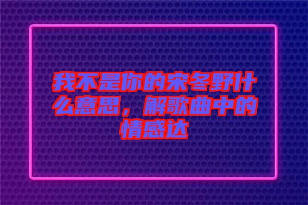 我不是你的宋冬野什么意思，解歌曲中的情感達