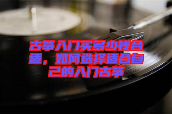 古箏入門買多少錢合適，如何選擇適合自己的入門古箏