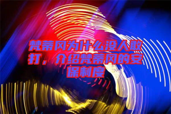 梵蒂岡為什么沒人敢打，介紹梵蒂岡的安保制度
