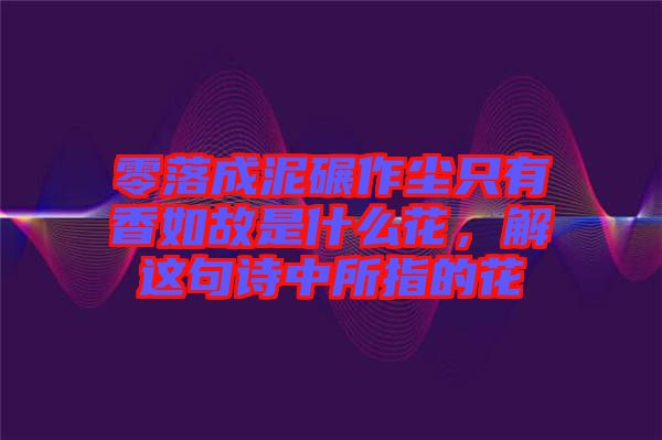 零落成泥碾作塵只有香如故是什么花，解這句詩中所指的花