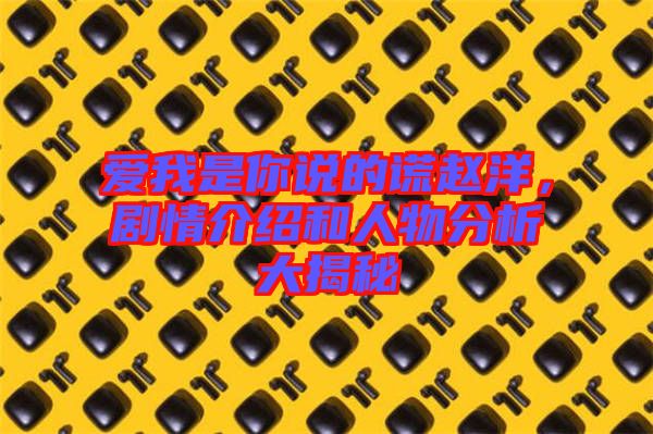 愛我是你說的謊趙洋，劇情介紹和人物分析大揭秘