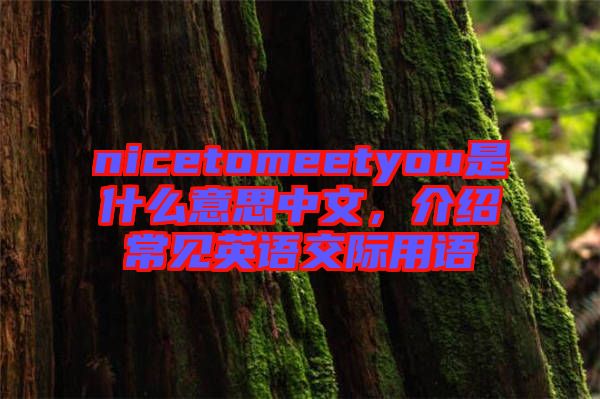 nicetomeetyou是什么意思中文，介紹常見英語交際用語