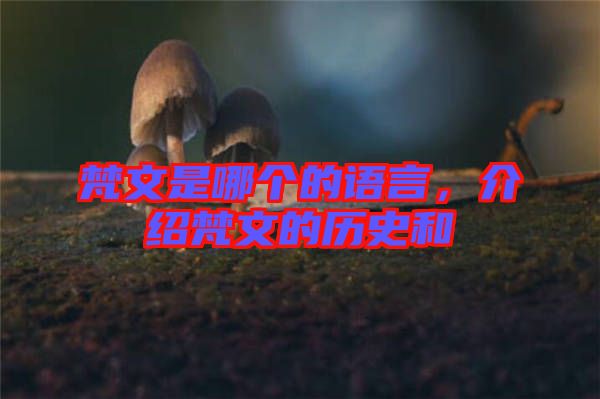 梵文是哪個(gè)的語言，介紹梵文的歷史和