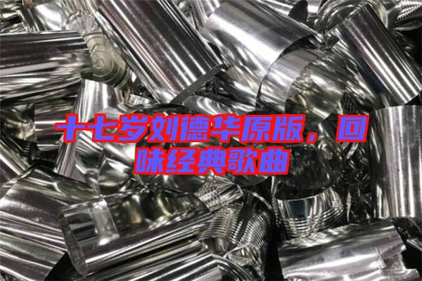 十七歲劉德華原版，回味經(jīng)典歌曲