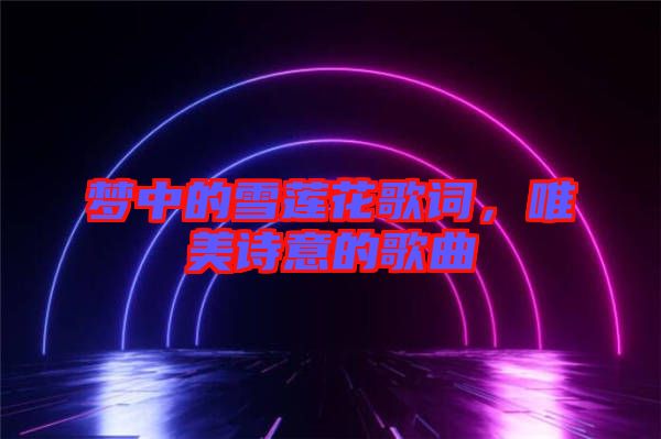 夢(mèng)中的雪蓮花歌詞，唯美詩(shī)意的歌曲