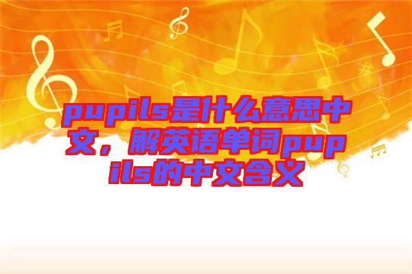 pupils是什么意思中文，解英語單詞pupils的中文含義
