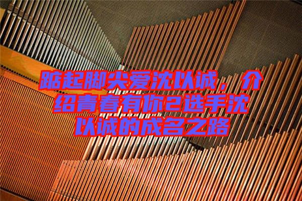 踮起腳尖愛(ài)沈以誠(chéng)，介紹青春有你2選手沈以誠(chéng)的成名之路