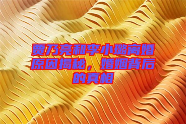 賈乃亮和李小璐離婚原因揭秘，婚姻背后的真相