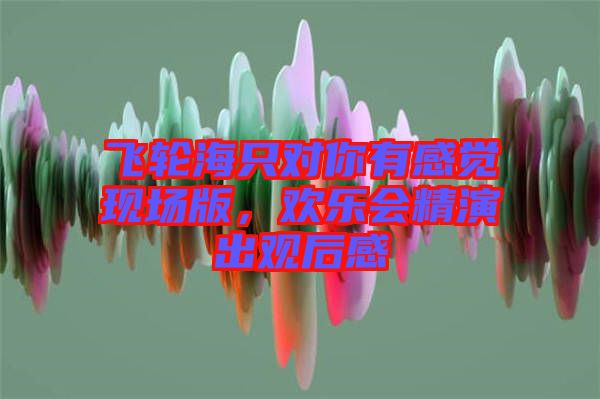 飛輪海只對你有感覺現(xiàn)場版，歡樂會精演出觀后感