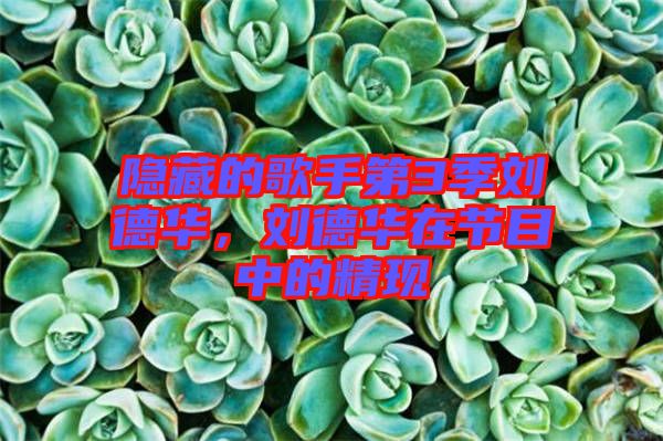 隱藏的歌手第3季劉德華，劉德華在節(jié)目中的精現(xiàn)