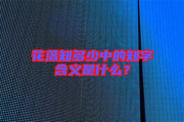 花落知多少中的知字含義是什么？