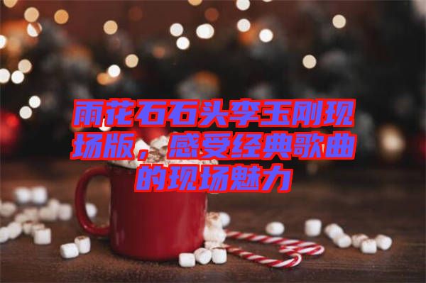 雨花石石頭李玉剛現(xiàn)場(chǎng)版，感受經(jīng)典歌曲的現(xiàn)場(chǎng)魅力