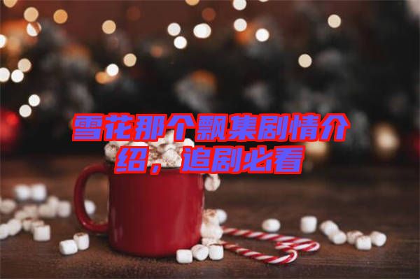 雪花那個飄集劇情介紹，追劇必看